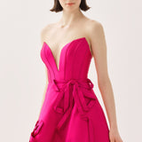 ROSY DRESS